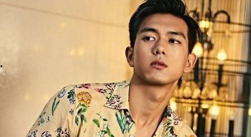 娱乐圈吃瓜男的,揭秘明星背后的故事与八卦